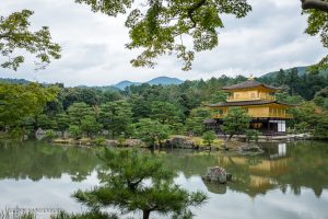 glenn vanderbeke, landschapsfotograaf, reisfotograaf, reisfotografie, japan, Kyoto, Golden Pavilion, Kinkaku-ji