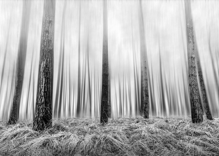 Glenn Vanderbeke, landschapsfotograaf, landscape photographer belgium, belgian landscape photographer, belgian fine art photographer, West-Vlaamse landschapsfotograaf, Monocrhome Photography Awards, MonoAwards, fine art photography, kalmthoutse heide
