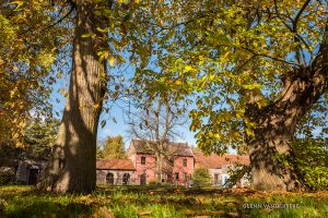 glenn vanderbeke, landschapsfotografie, landschapsfotograaf, foto uitstap, foto dagtrip, fotografische dagtrip, west-vlaamse fotografen, west-vlaamse fotograaf, Foto uitstap, Overpelt, het hobos, hobos, bosfotografie