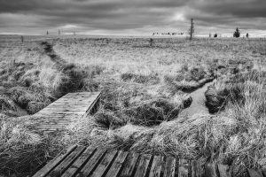 glenn vanderbeke, landschapsfotografie, landschapsfotograaf, foto uitstap, foto dagtrip, fotografische dagtrip, fotografie uitstap, west-vlaamse fotografen, west-vlaamse fotograaf, Wallonië, de Hoge Venen, Hoge Venen, Noir flohay, fototip Noir Flohay, locatie Noir Flohay, fototip hoge venen, noir flohay foto's, hoge venen foto's, hoge venen adres, noir flohay hoge venen, noir flohay wandeling, noir flohay route