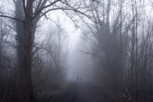 Mist fotografie in de Bourgoyen-Ossemeersen, mistlandschappen fotograferen, mistlandschap fotograferen, mist fotograferen, Wandelen in de Bourgoyen-Ossemeersen, Wandelaars in de Bourgoyen-Ossemeersen, Glenn Vanderbeke