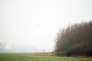 landschapsfotografie, landschapsfotografie in het provinciedomein Zeebos, Kijkhut in het Provinciedomein Zeebos - Blankenberge, West-Vlaams landschapsfotograaf Glenn Vanderbeke, birdwatching in Blankenberge, vogelspotten in Blankenberge