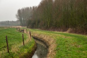 landschapsfotografie, landschapsfotografie in het provinciedomein Zeebos, Kijkhut in het Provinciedomein Zeebos - Blankenberge, West-Vlaams landschapsfotograaf Glenn Vanderbeke, birdwatching in Blankenberge, vogelspotten in Blankenberge