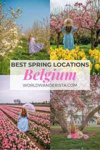 worldwanderista, Spring in Belgium; where to find the most beautiful blossoms and flowers?, spring in belgium