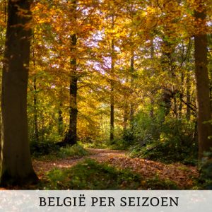 België ontdekken per seizoen