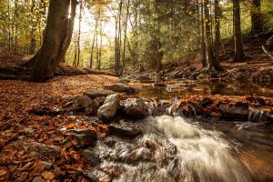 glenn vanderbeke, glenn vanderbeke landschapsfotograaf, landschapsfotograaf, landschapsfotograaf België, wandelen in België, mooiste wandeling België, mooiste hike in België, vallei van de Hoëgne, Vallée de la Hoëgne, La Hoëgne, herfstfotografie België, wandelen in de ardennen