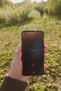 Torwoud in Torhout, Torwoud, Torhout, fotografie in torhout, fotografie, bosfotografie, landschapsfotografie, wat te doen in torhout, wandeling Torhout, wandelen in torhout, uitstap torhout, canon rf 28mm f2.8