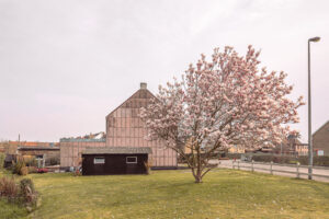 Mighty Magnolia, fotoreeks van Glenn Vanderbeke