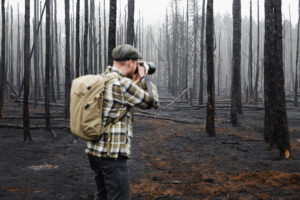 Bosbrand in de Clingse bossen, Clinge © Glenn Vanderbeke